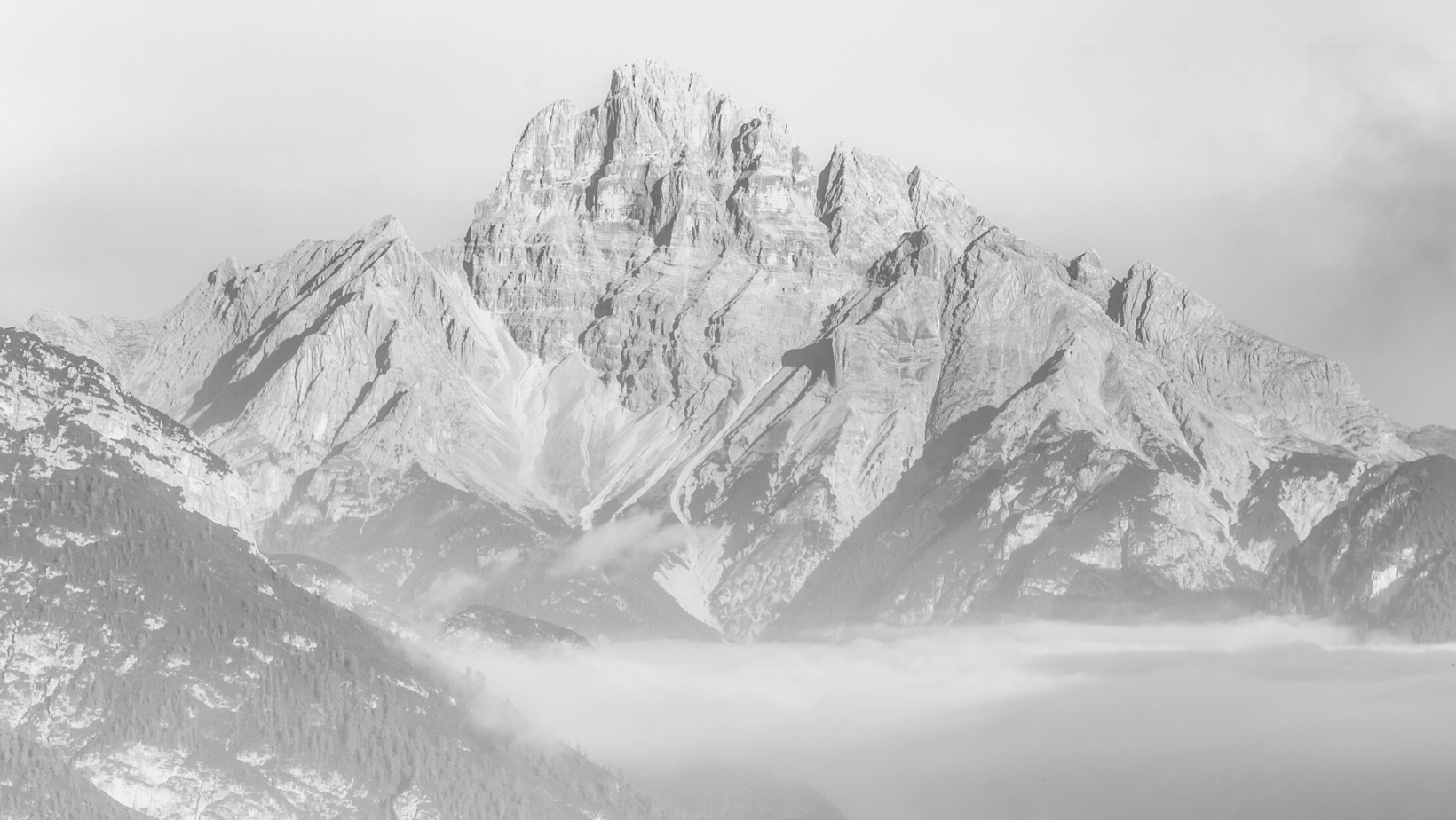 Green and Monochrome Photo Corporate Website Facebook Cover -1